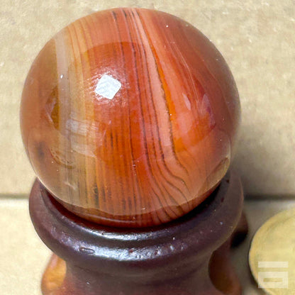 Esfera Sardonix