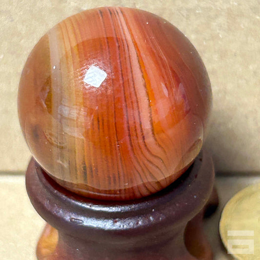 Esfera Sardonix