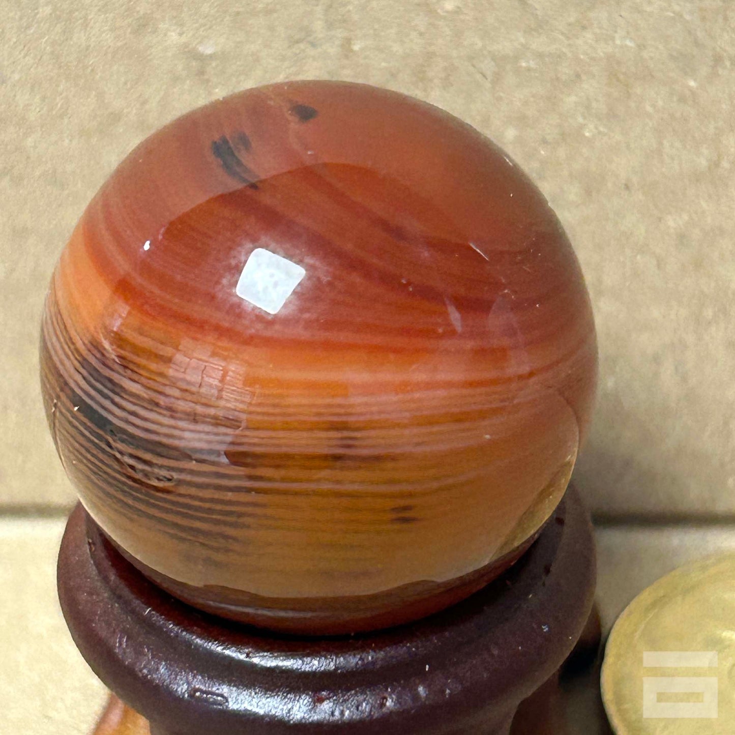 Esfera Sardonix
