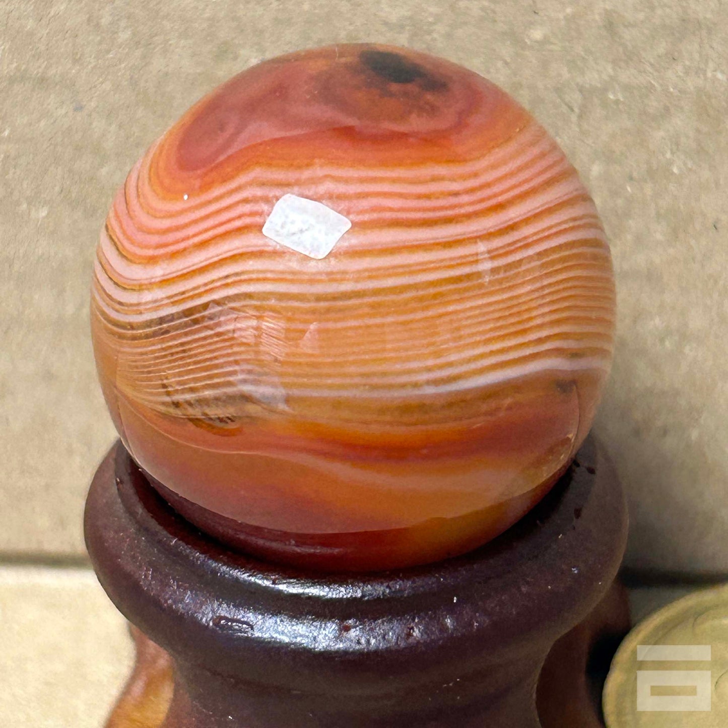 Esfera Sardonix