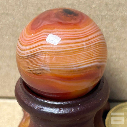 Esfera Sardonix