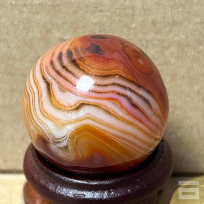 Esfera Sardonix