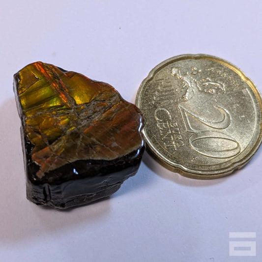 Ammolite