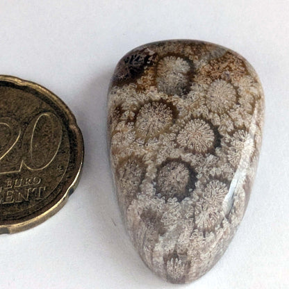 Cabujón Jaspe Coral