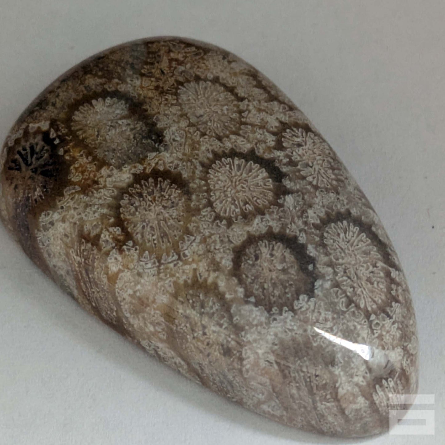 Cabujón Jaspe Coral