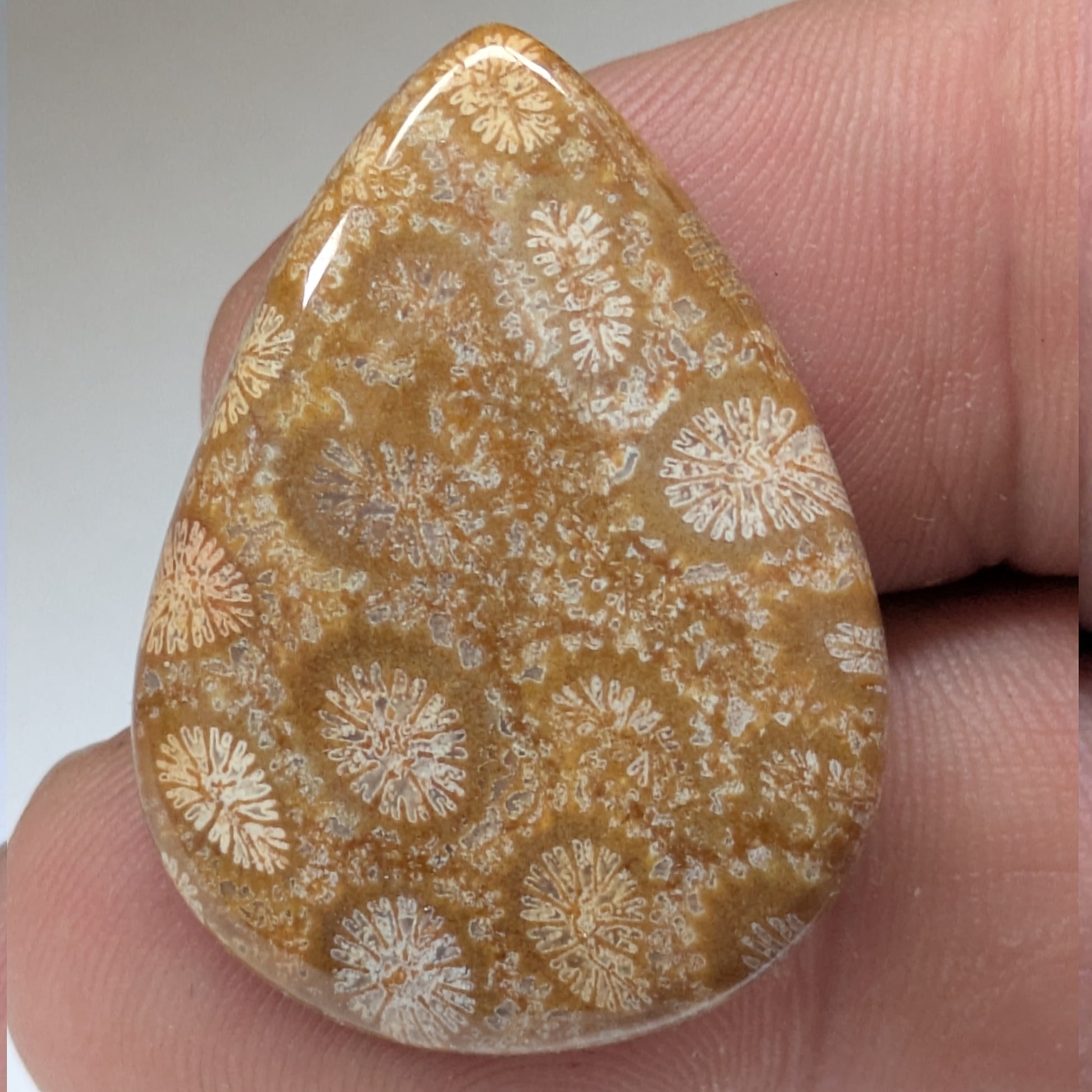 Cabujón Jaspe Coral