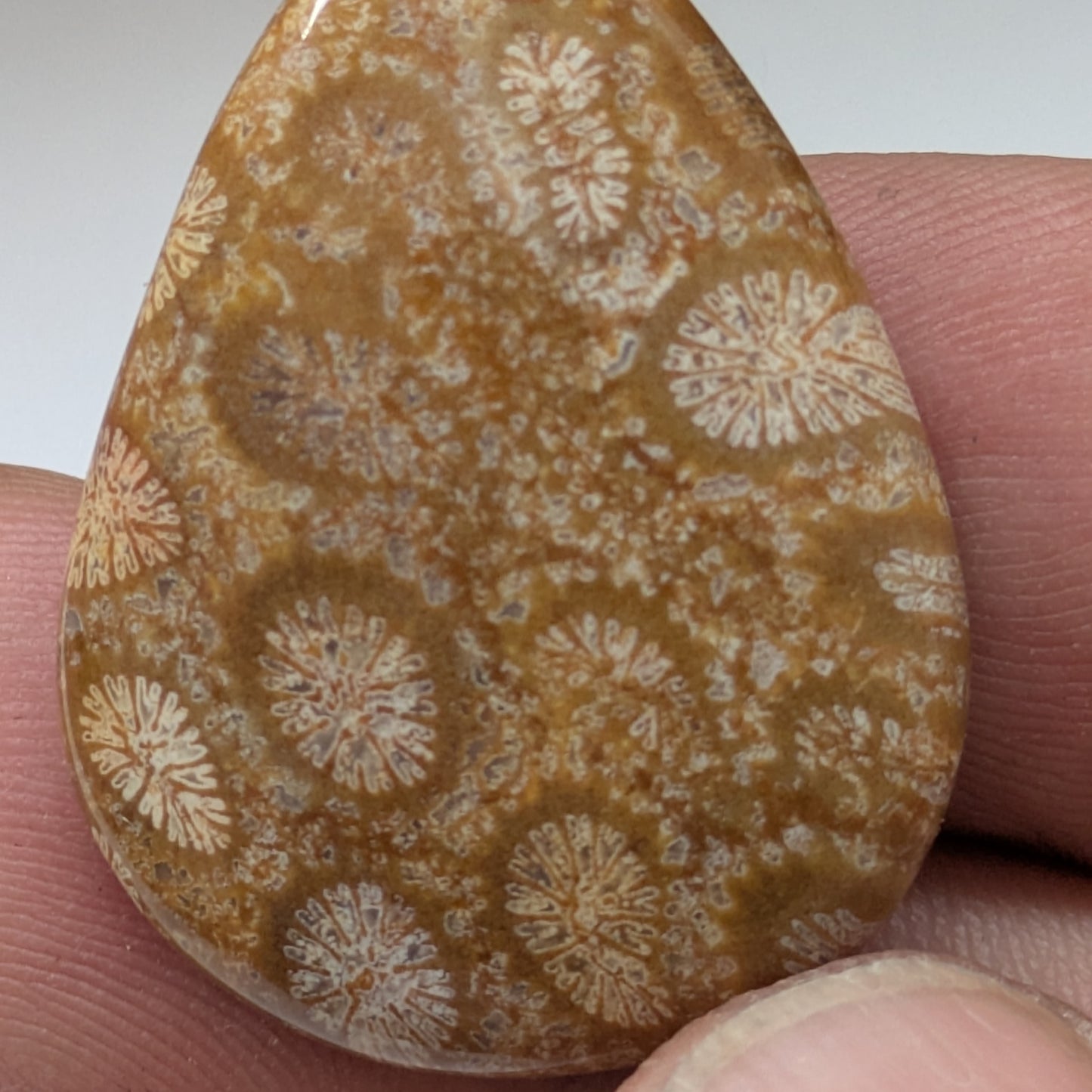 Cabujón Jaspe Coral