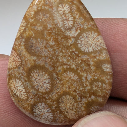 Cabujón Jaspe Coral