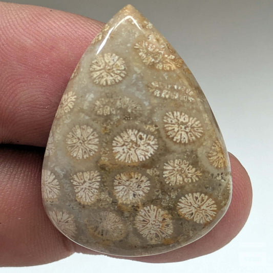 Cabujón Jaspe Coral