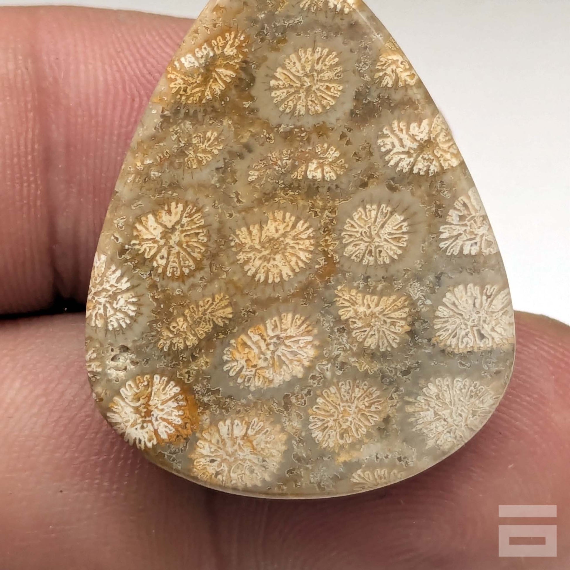 Cabujón Jaspe Coral