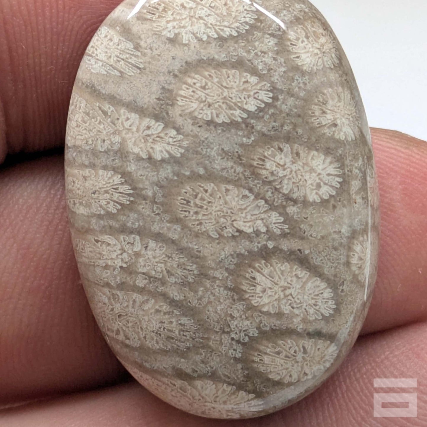 Cabujón Jaspe Coral