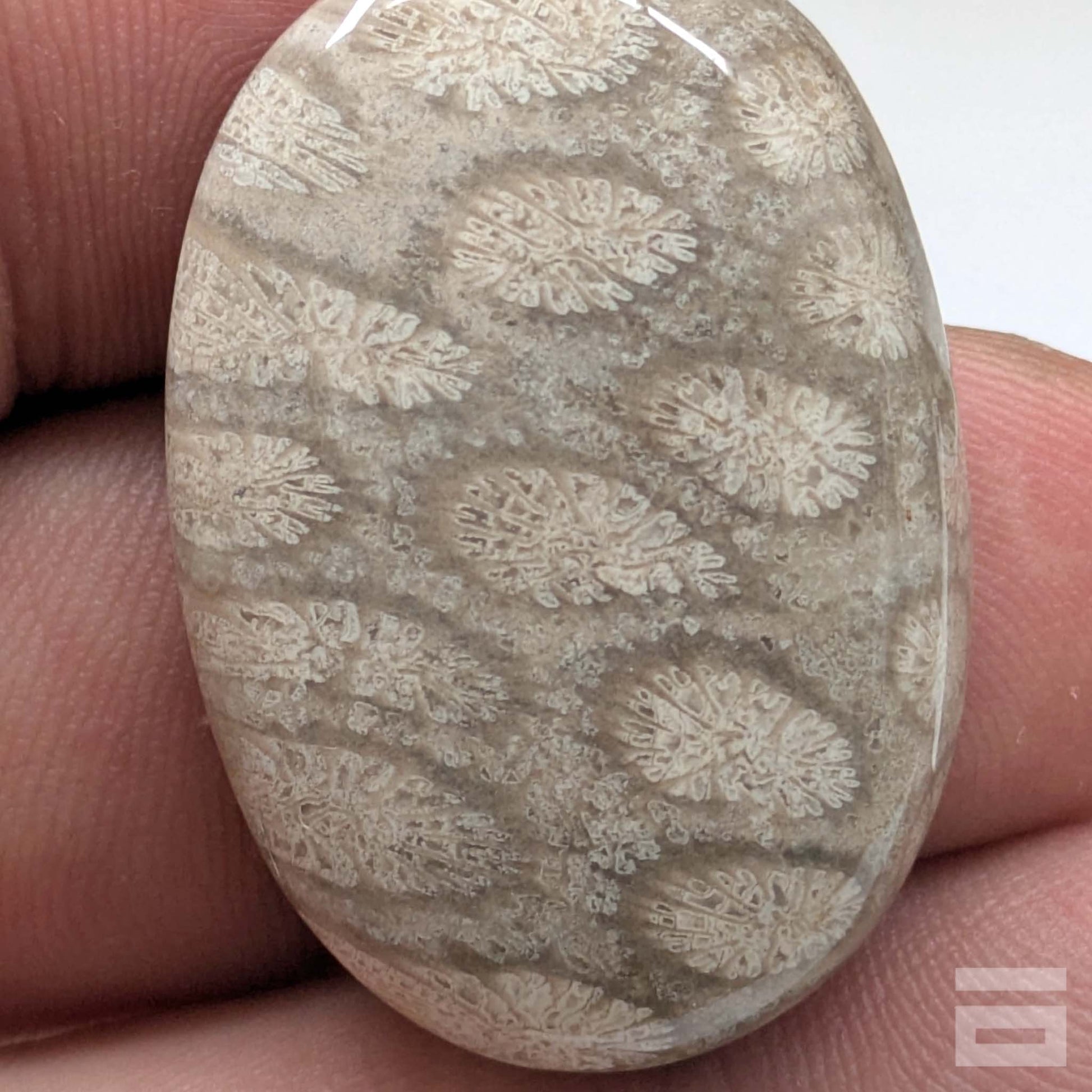 Cabujón Jaspe Coral