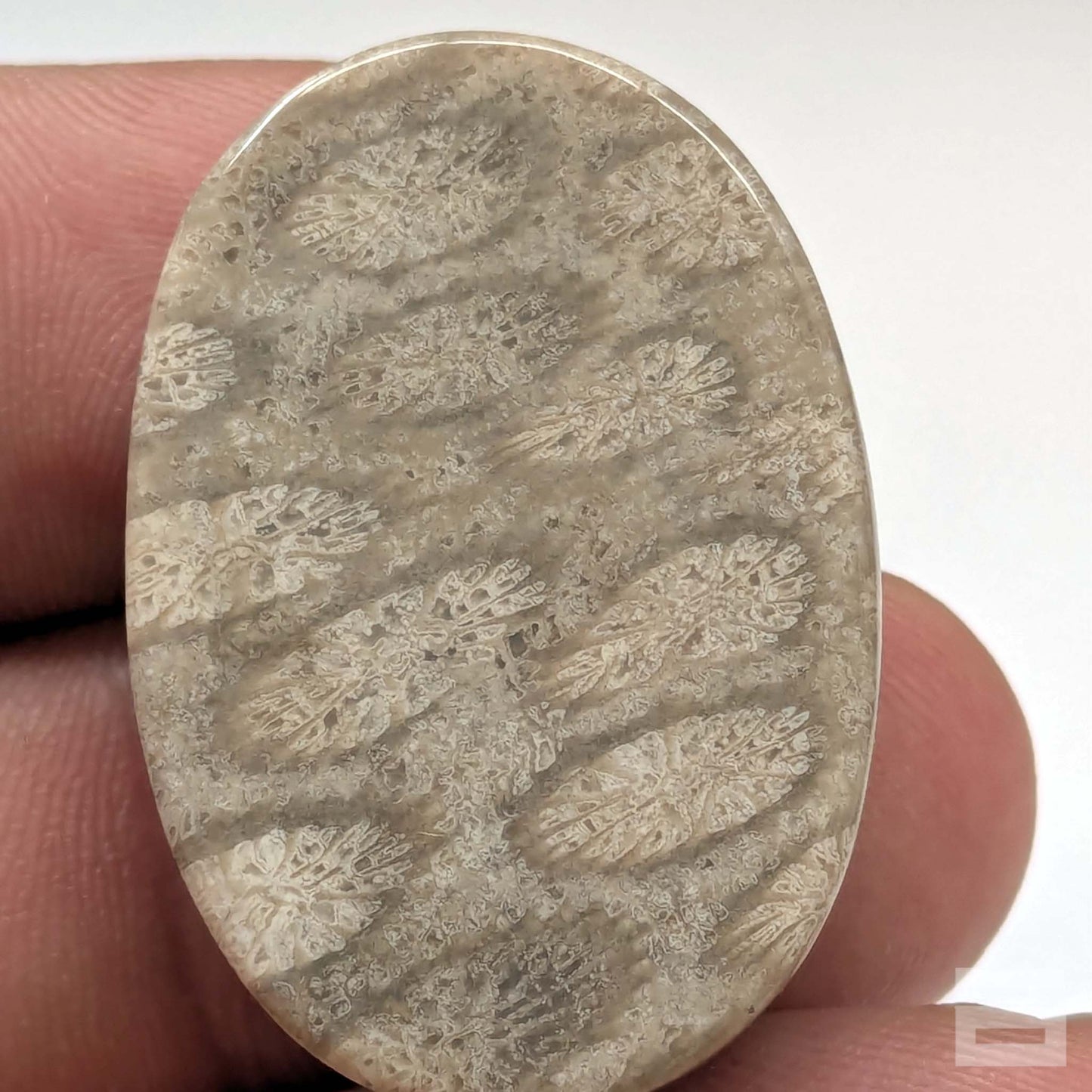 Cabujón Jaspe Coral