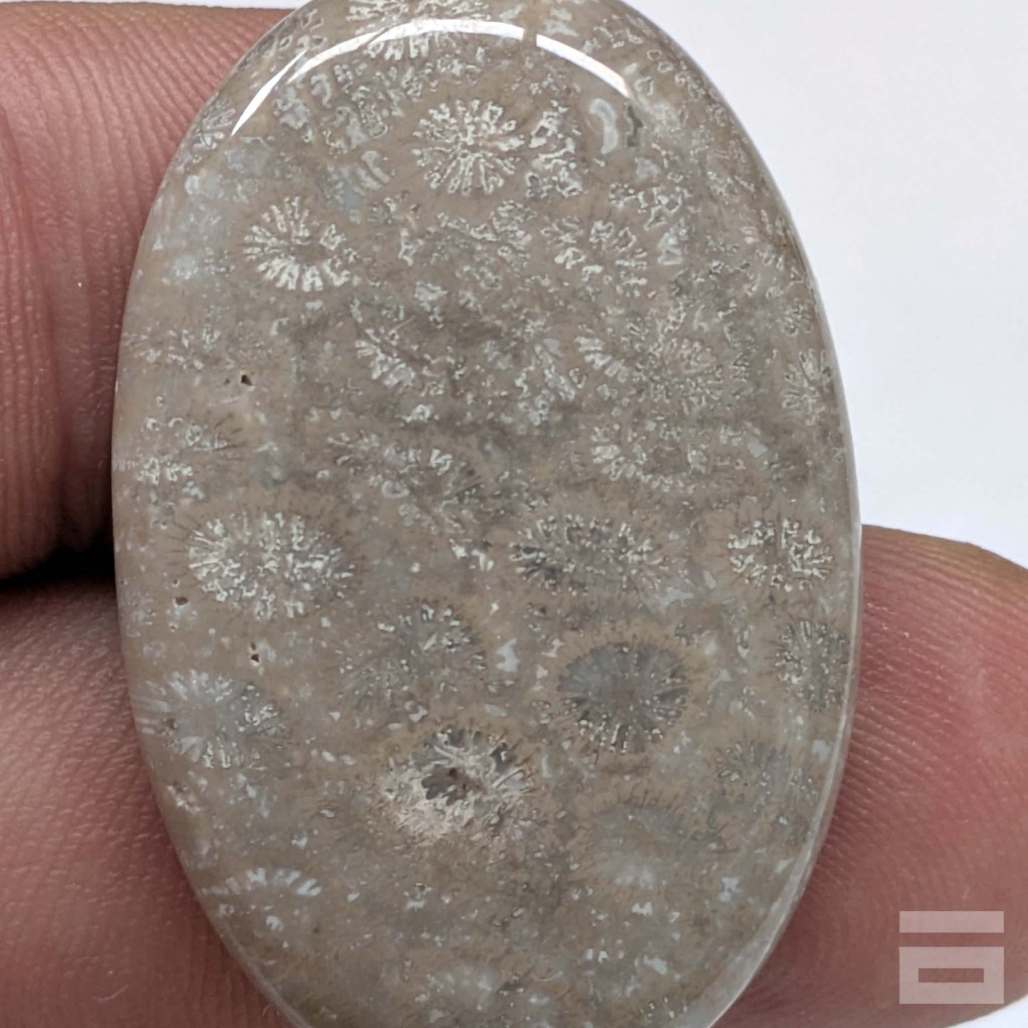 Cabujón Jaspe Coral