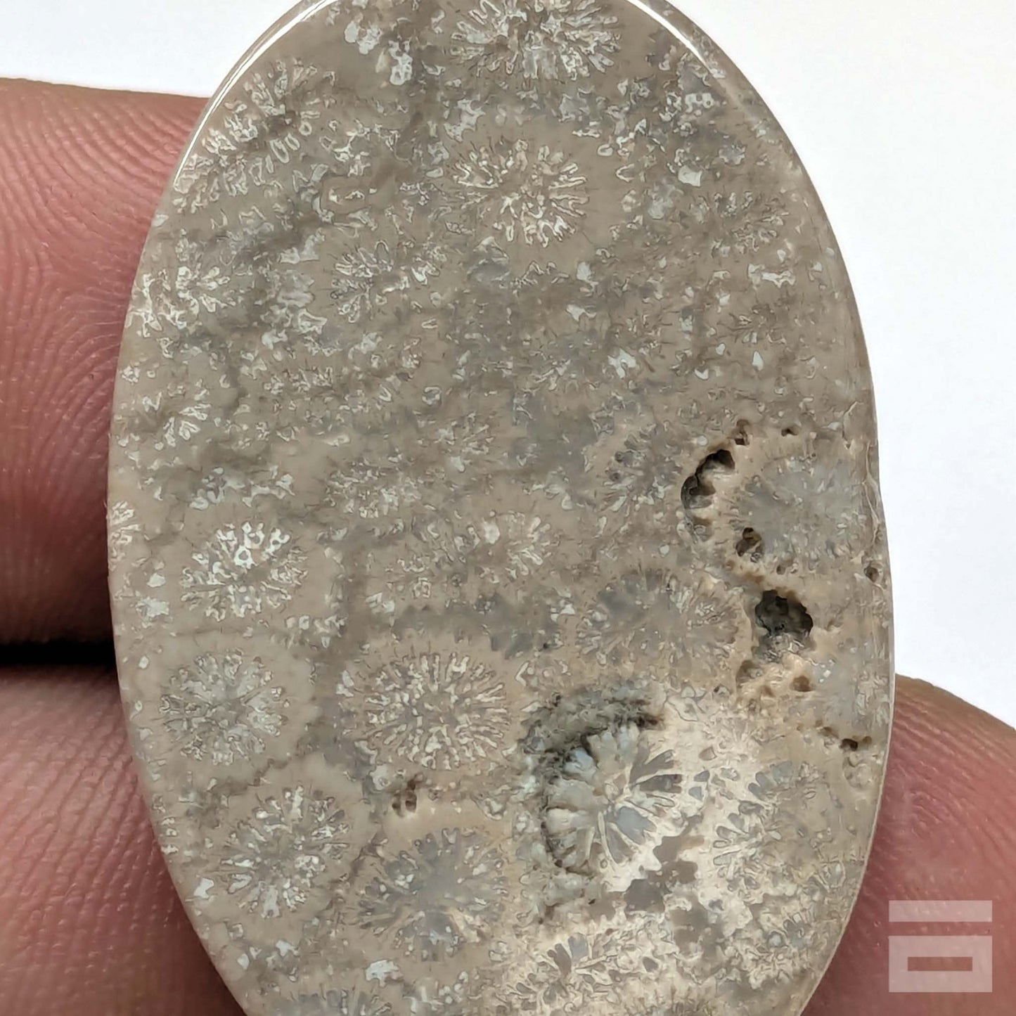 Cabujón Jaspe Coral