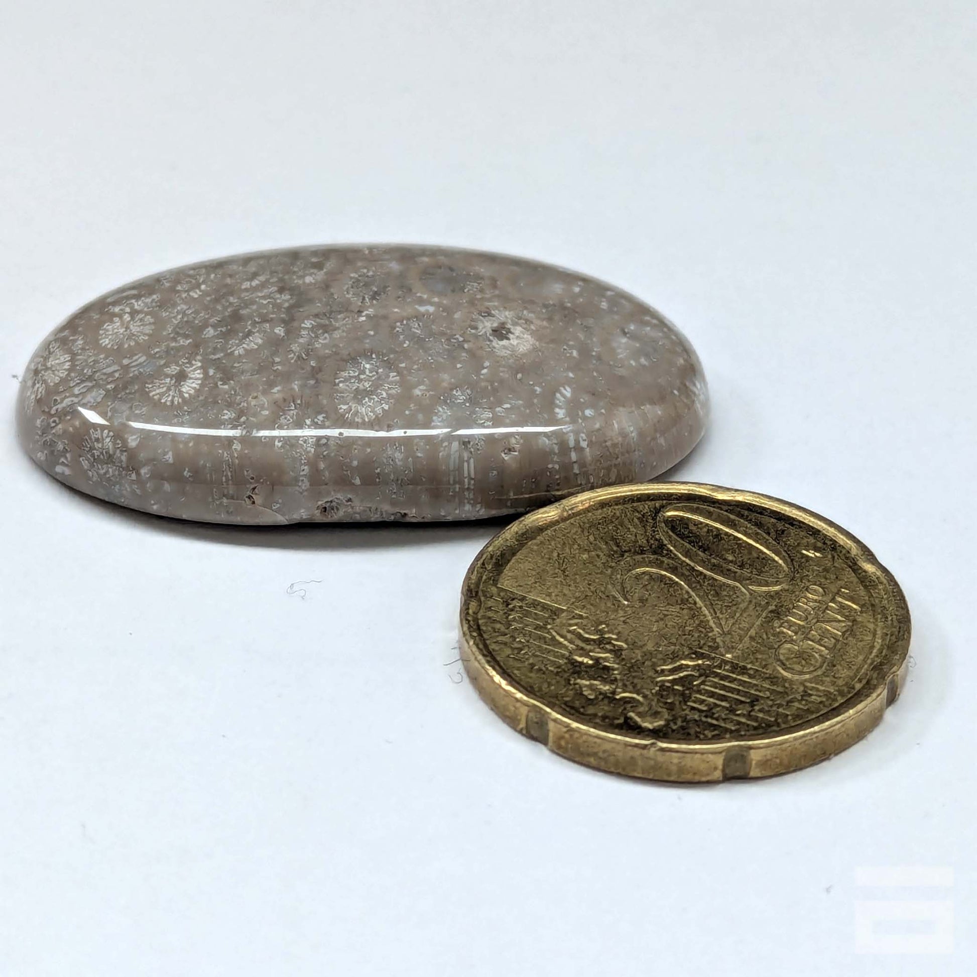 Cabujón Jaspe Coral