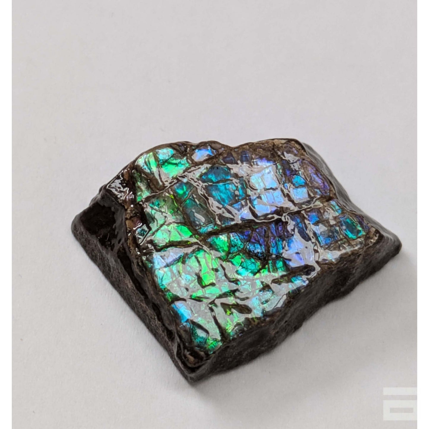 Cabujón Ammolite