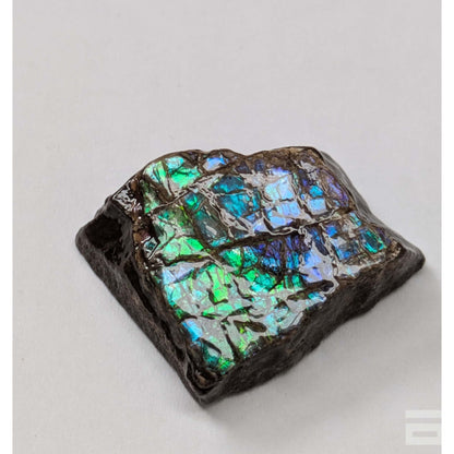 Cabujón Ammolite