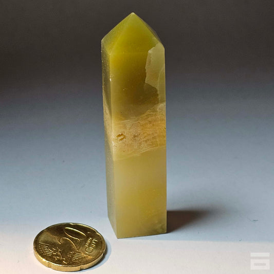 Punta jaspe Bumblebee (abejorro)