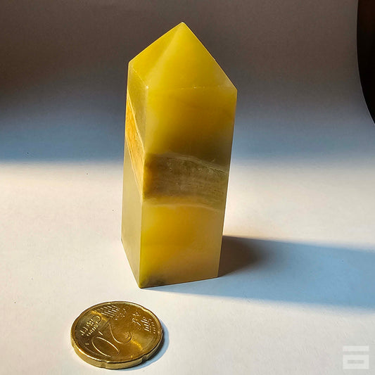 Punta jaspe Bumblebee (abejorro)