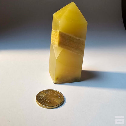 Punta jaspe Bumblebee (abejorro)