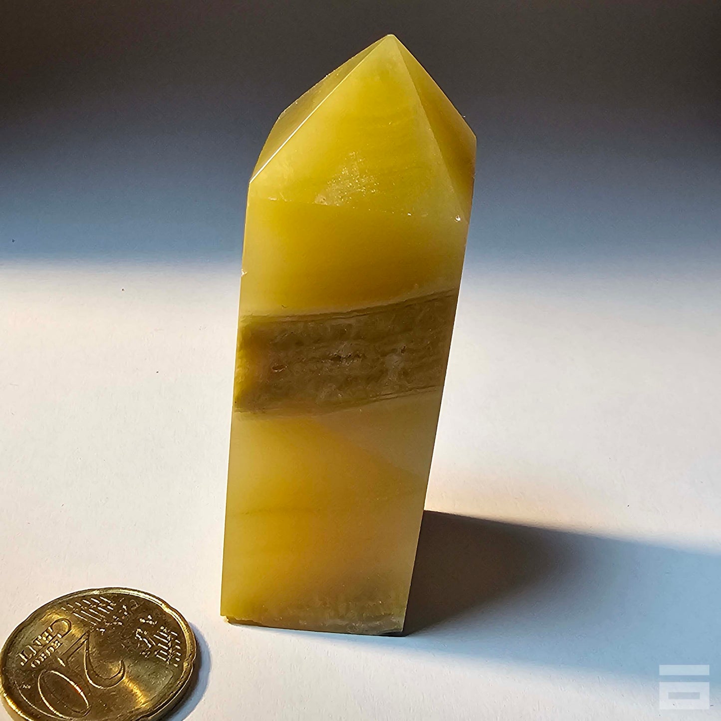 Punta jaspe Bumblebee (abejorro)