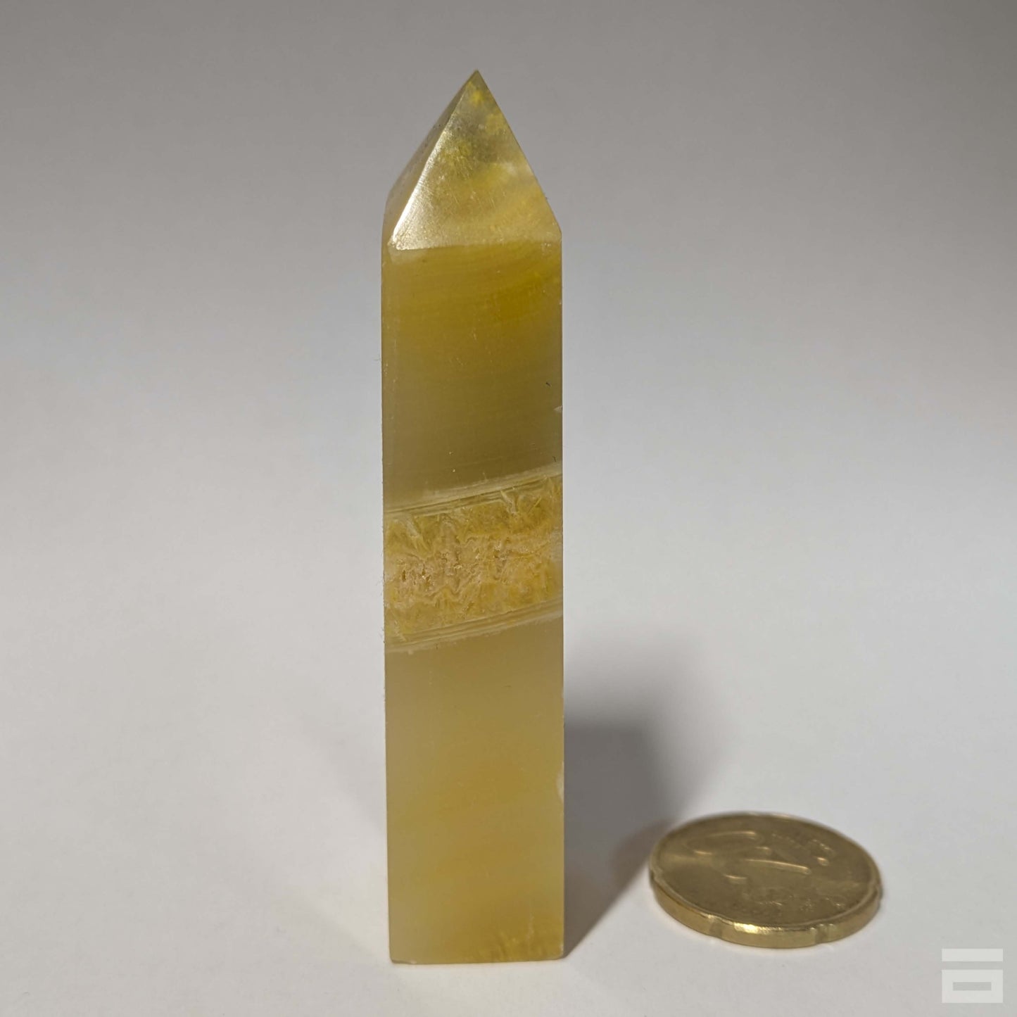 Punta jaspe Bumblebee (abejorro)