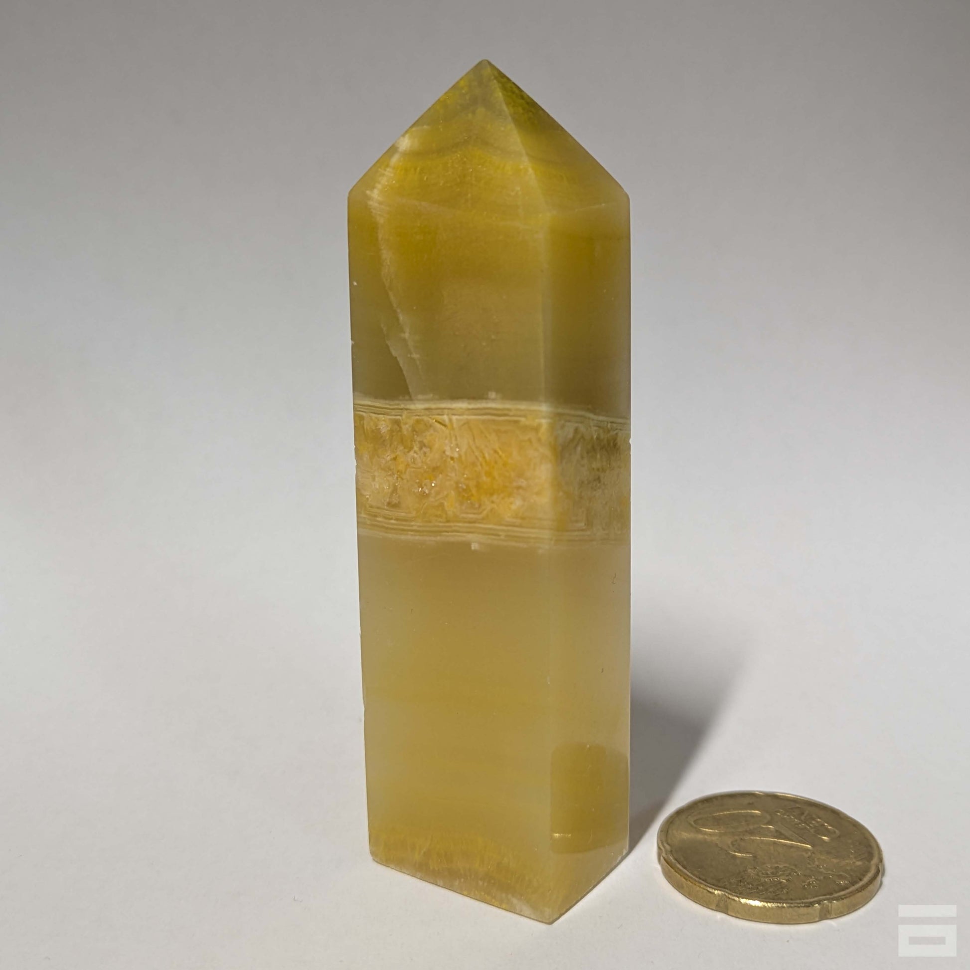 Punta jaspe Bumblebee (abejorro)