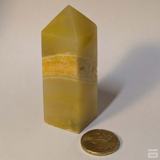 Punta jaspe Bumblebee (abejorro)