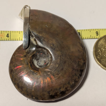 Colgante plata de Ammolite