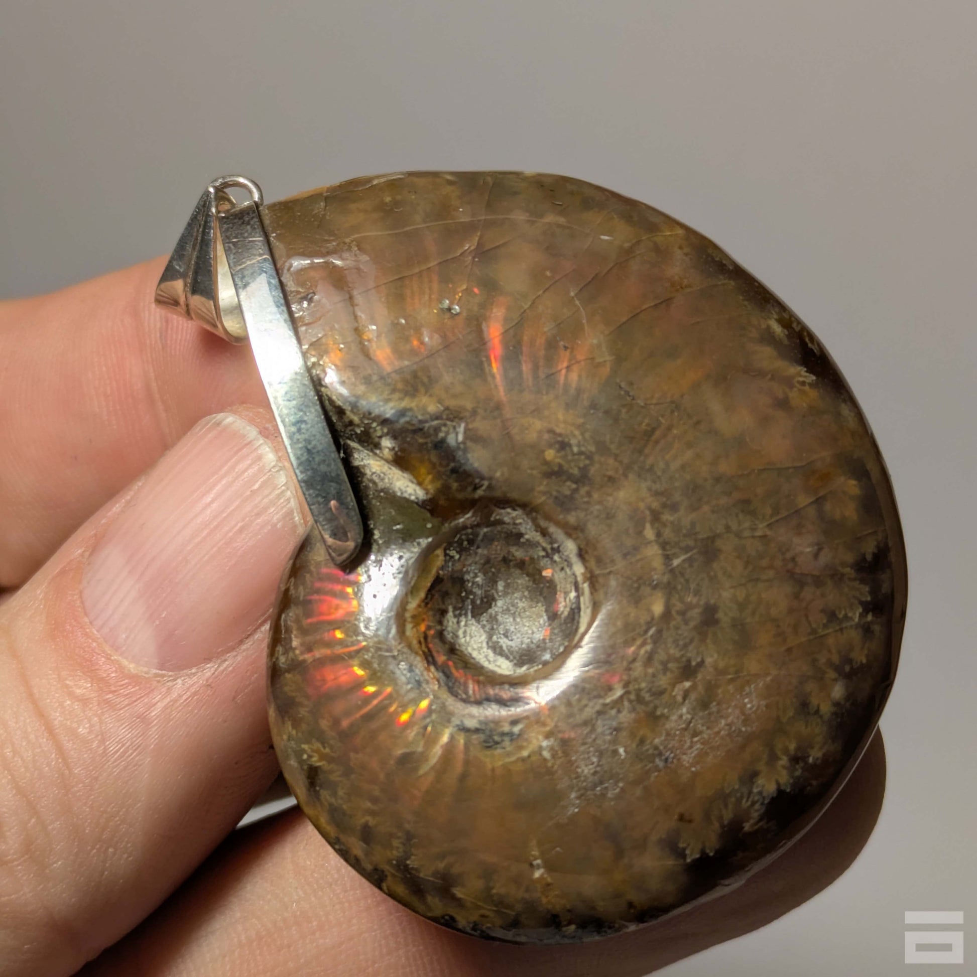 Colgante plata de Ammolite