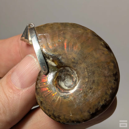Colgante plata de Ammolite
