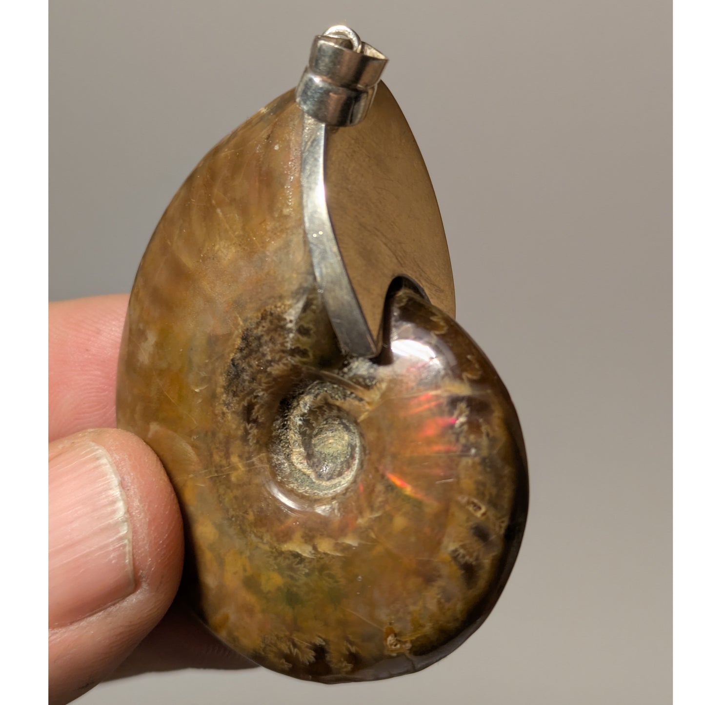 Colgante plata de Ammolite