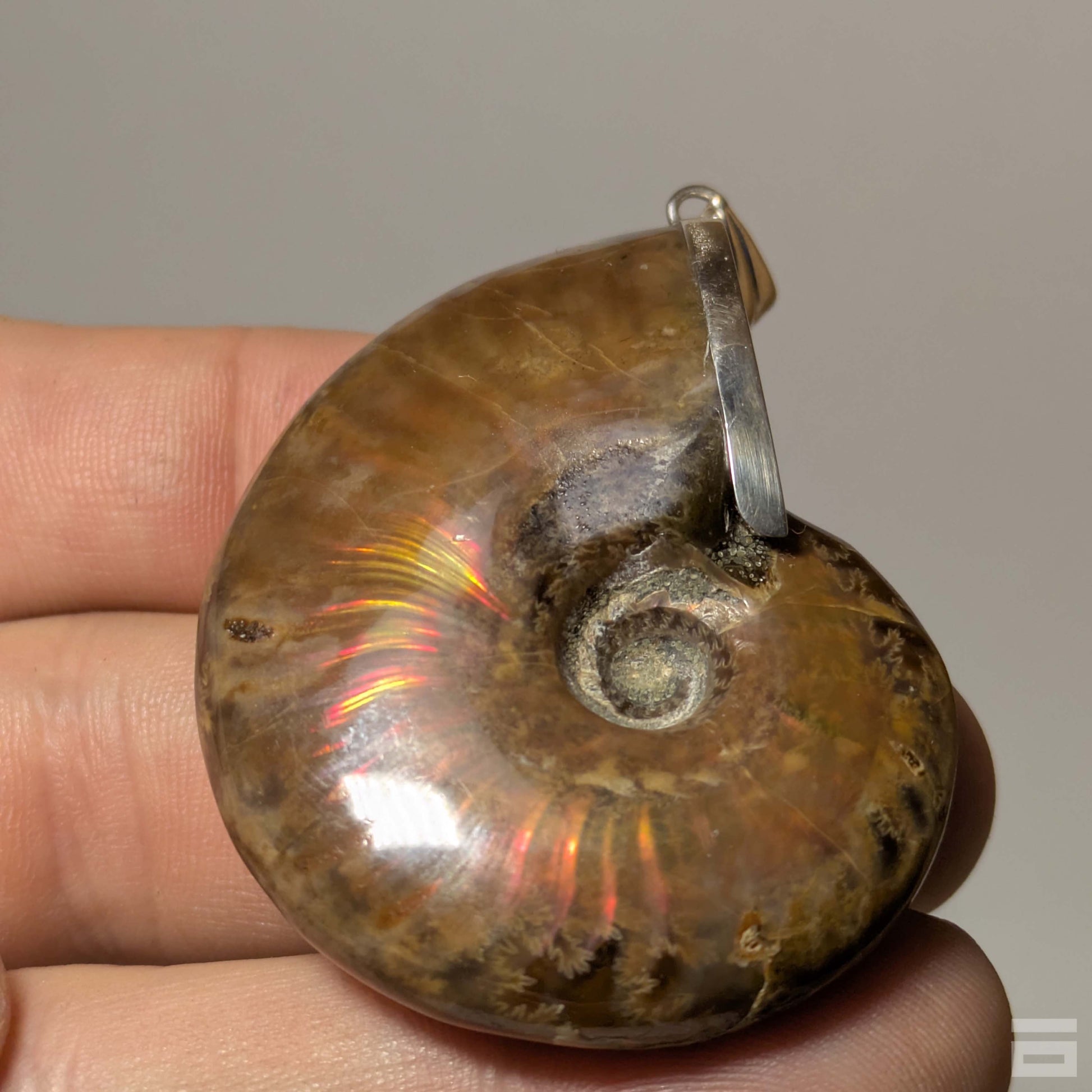 Colgante plata de Ammolite