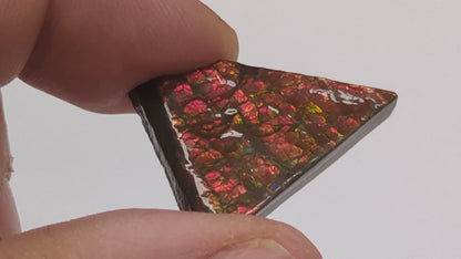Cabujón Ammolite